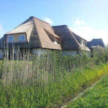 Haus-Duewelswarft-Whg-Delphin Lägenhet Sankt Peter-Ording Exteriör bild