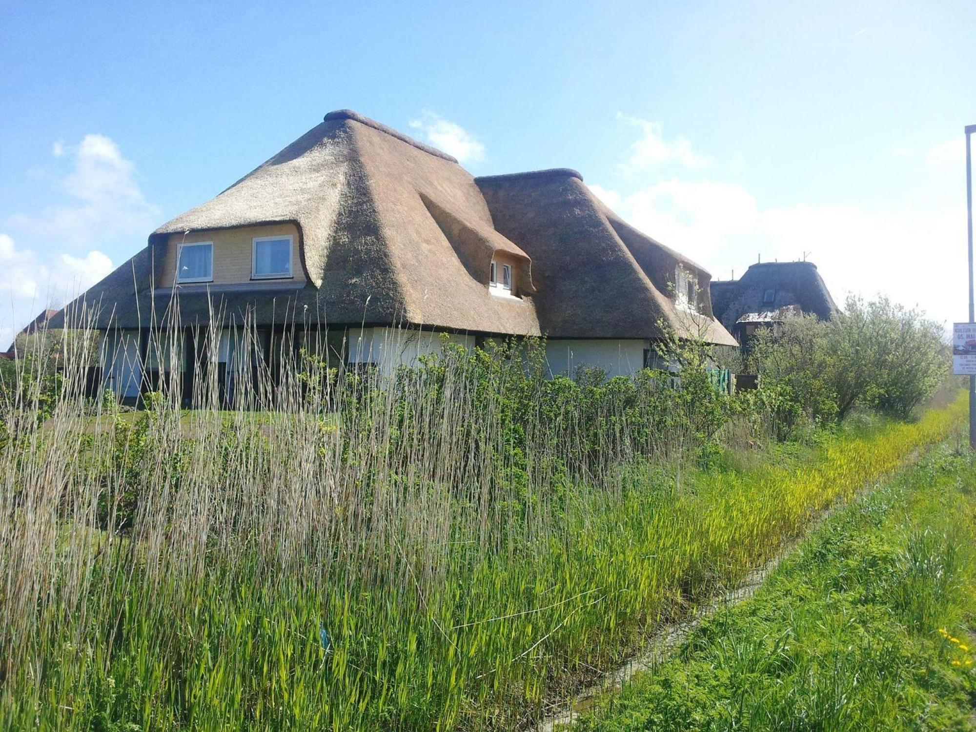 Haus-Duewelswarft-Whg-Delphin Lägenhet Sankt Peter-Ording Exteriör bild